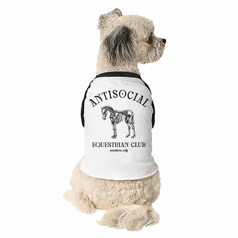 Antisocial Equestrian Club
