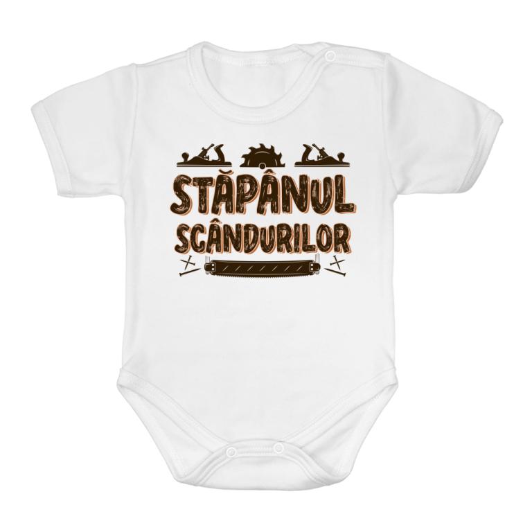 Stăpânul scândurilor
