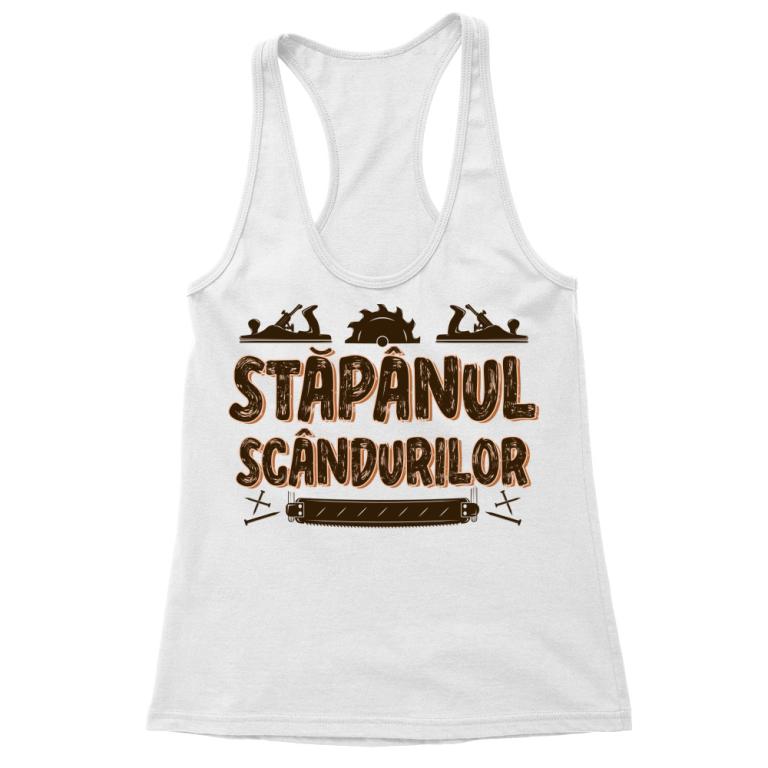 Stăpânul scândurilor