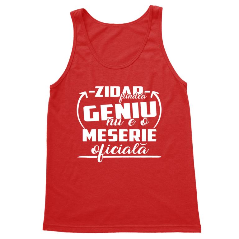 Zidar Geniu