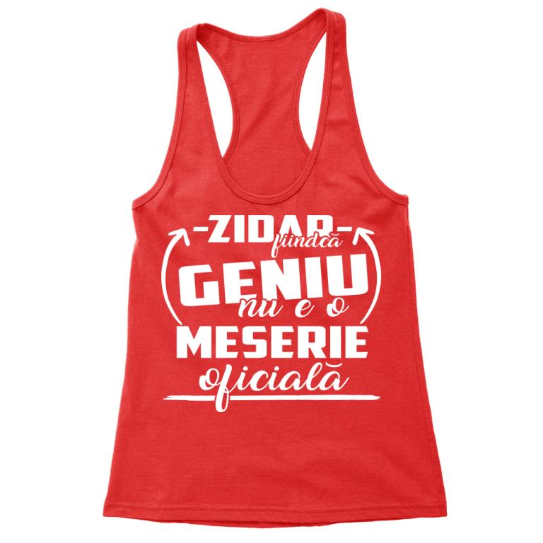 Zidar Geniu