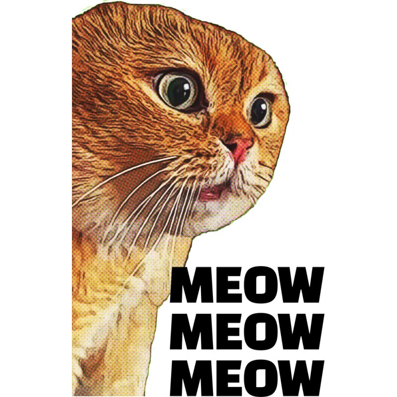 Cat meme - Ginger