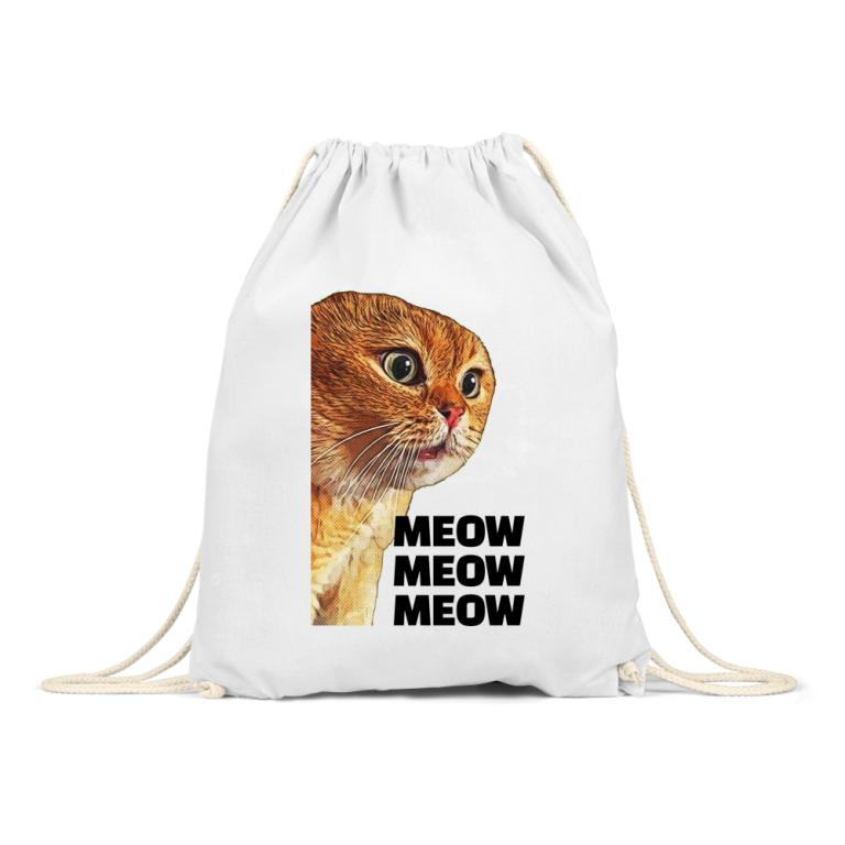 Cat meme - Ginger