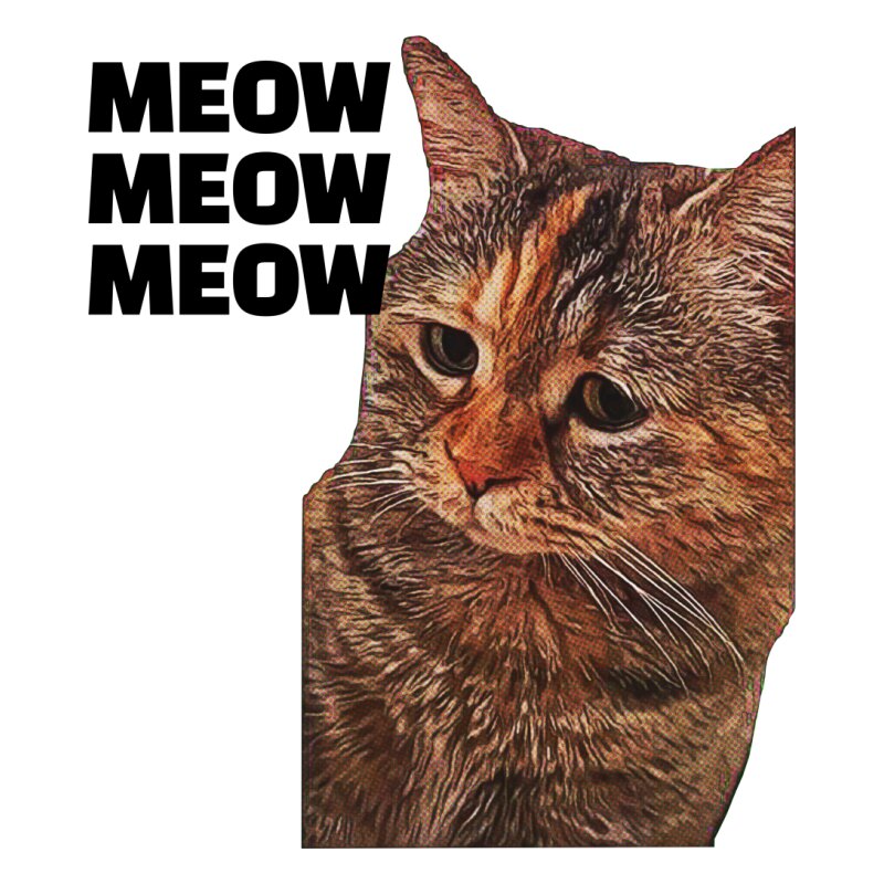 Cat meme - Grey
