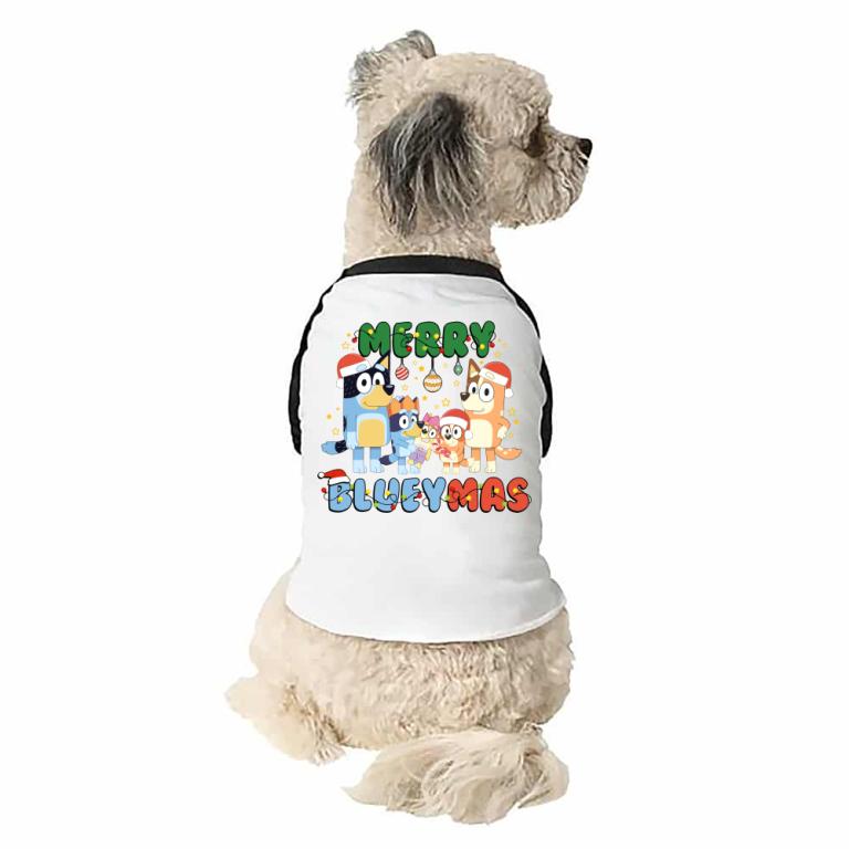 Bluey - Christmas Family