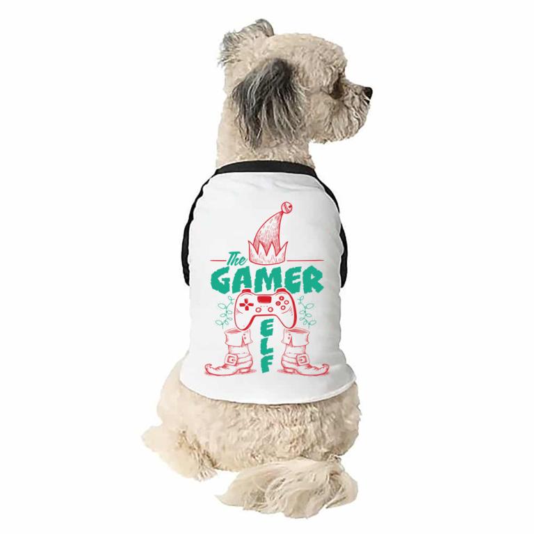 Gamer Elf