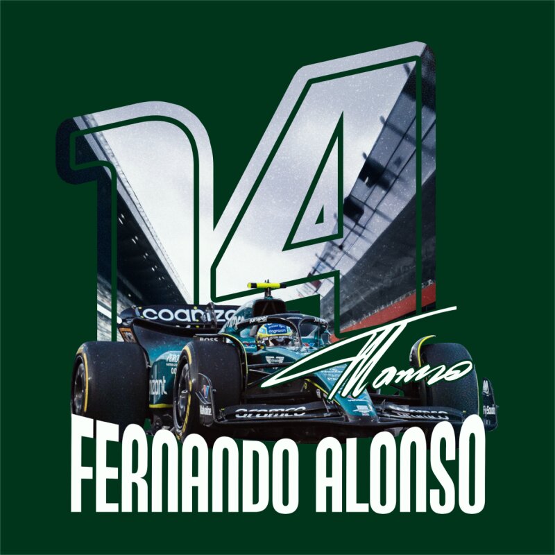 Fernando Alonso - 14