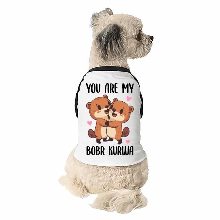 You are my bobr