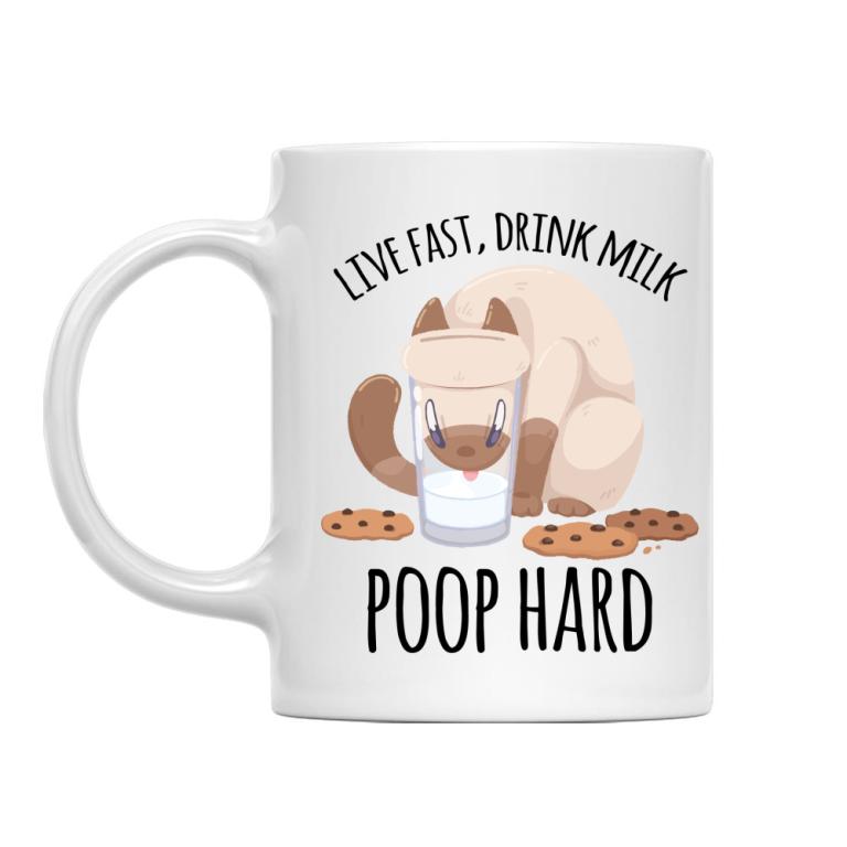 lactose intolerance cat