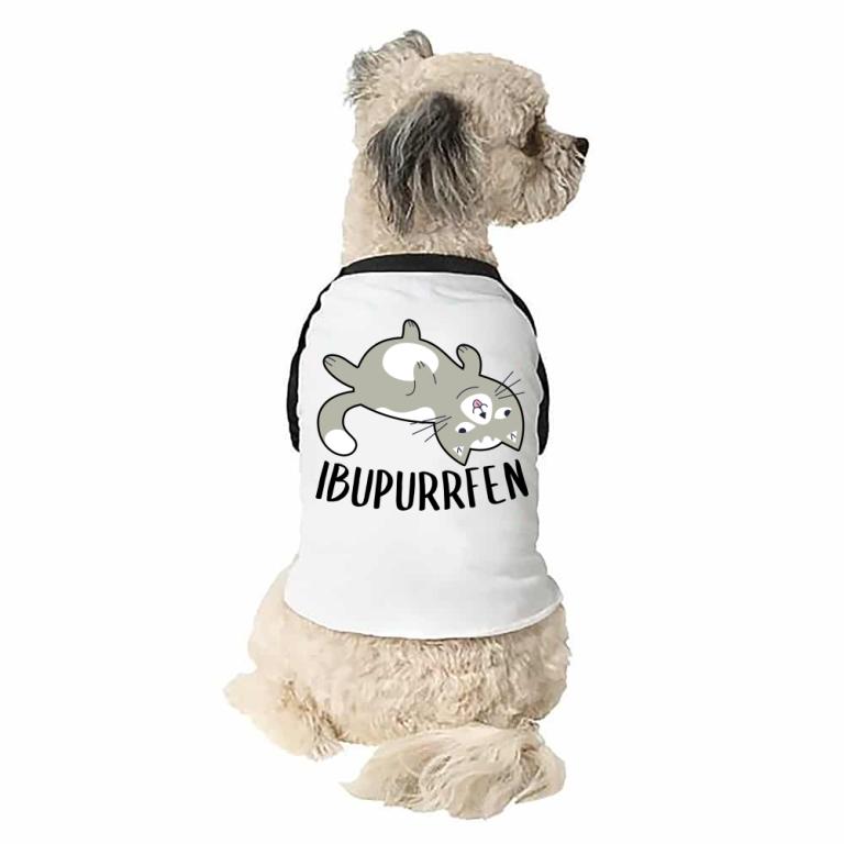 Ibupurrfen