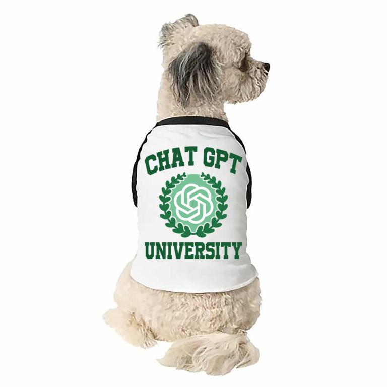 Chat GPT University