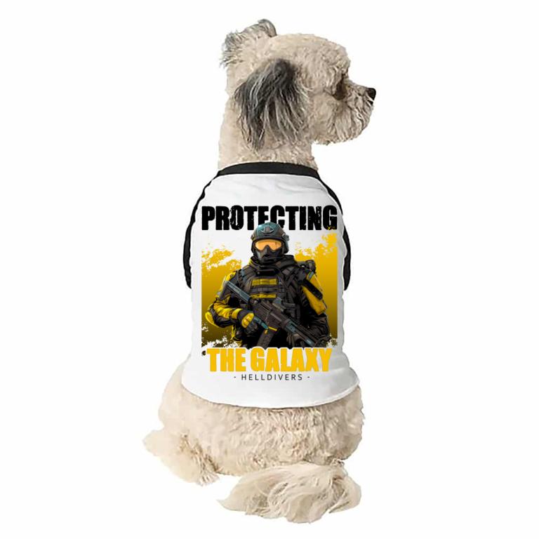 Protecting the galaxy - HELLDIVERS