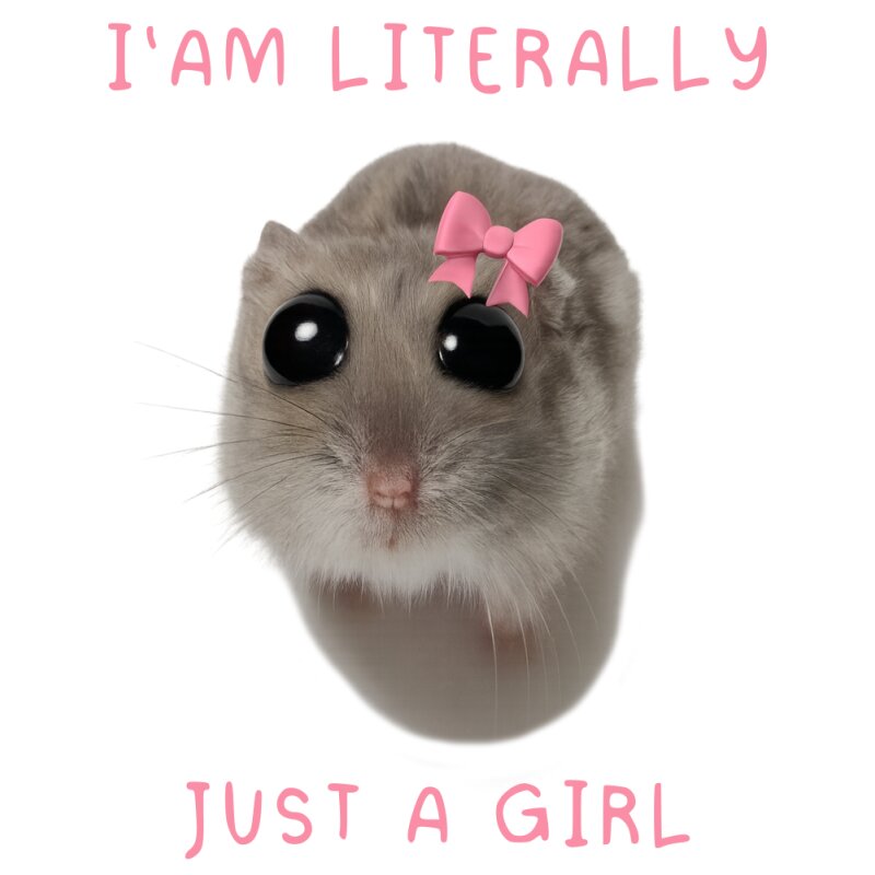 i'm literally just a girl