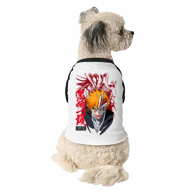 Ichigo - Vanguard