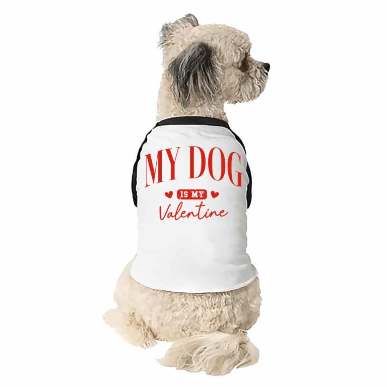My Dog Is My Valentine Minimal