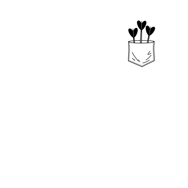 Darts pocket