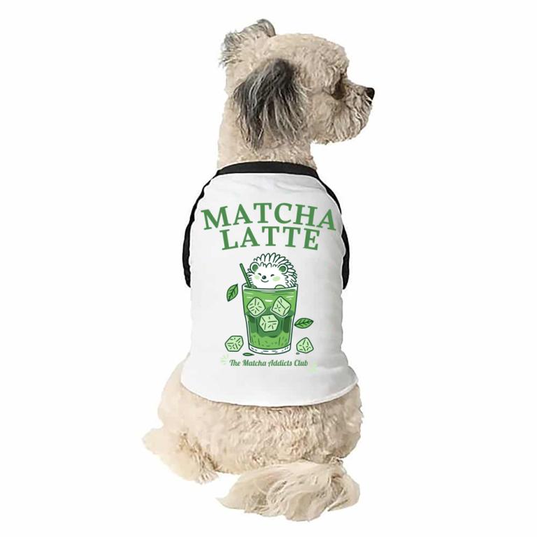 Matcha Addicts Club