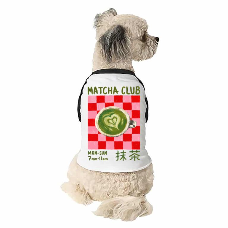 Matcha Club
