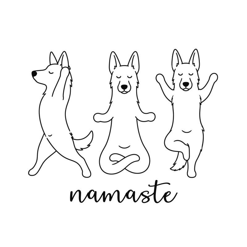 namaste - German shepherd
