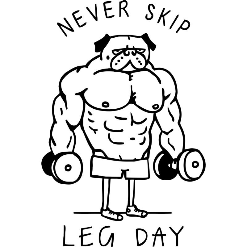 Leg day - dog