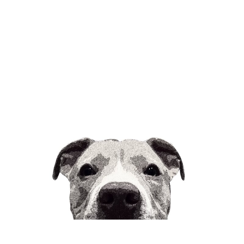 Peeking Pet - Mylife Plus