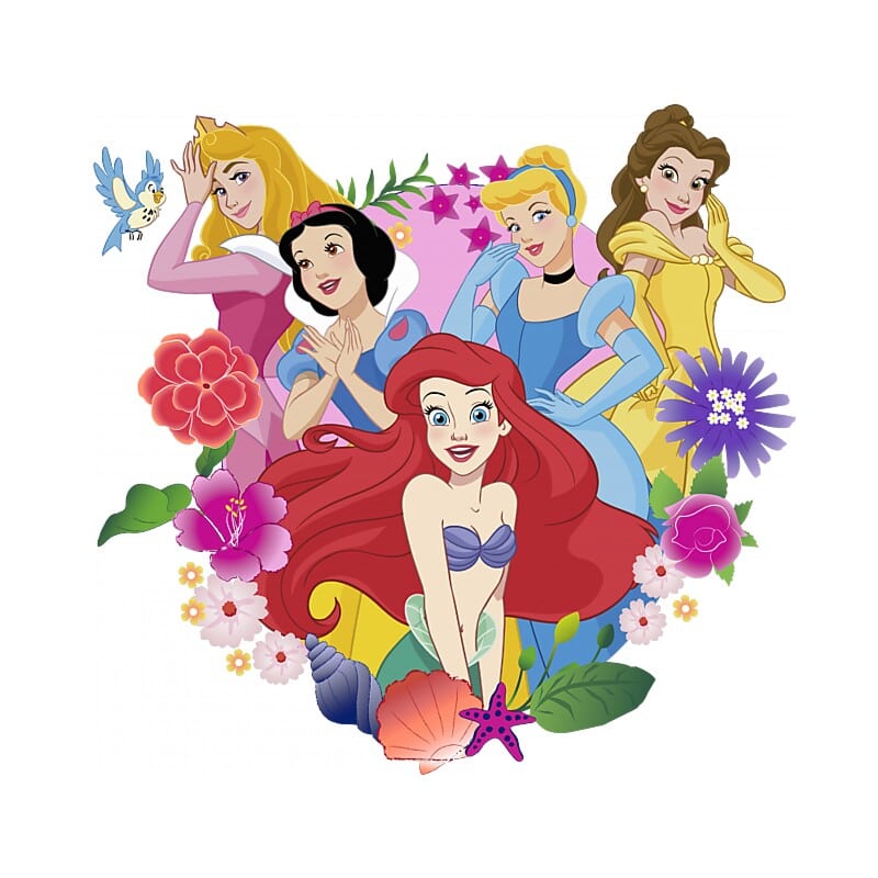 Princess Team