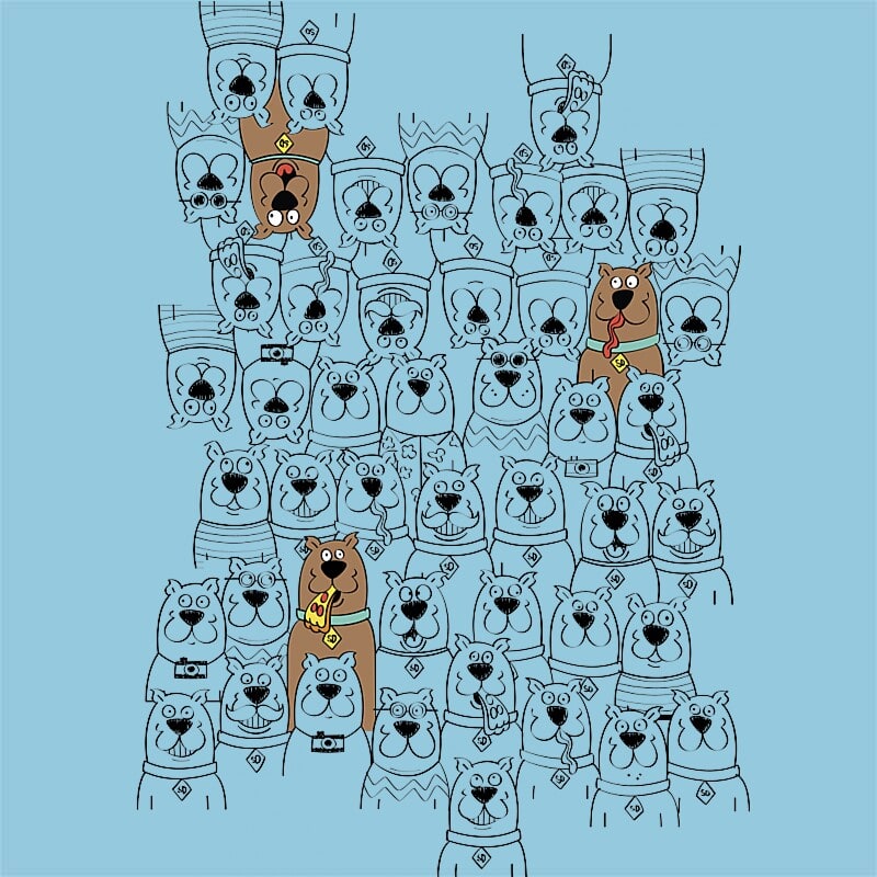 Where is Scooby?