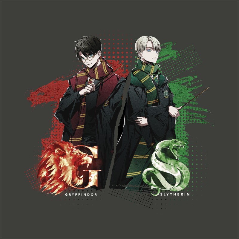 Harry vs Draco
