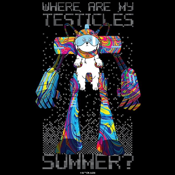 Where are my testicles?