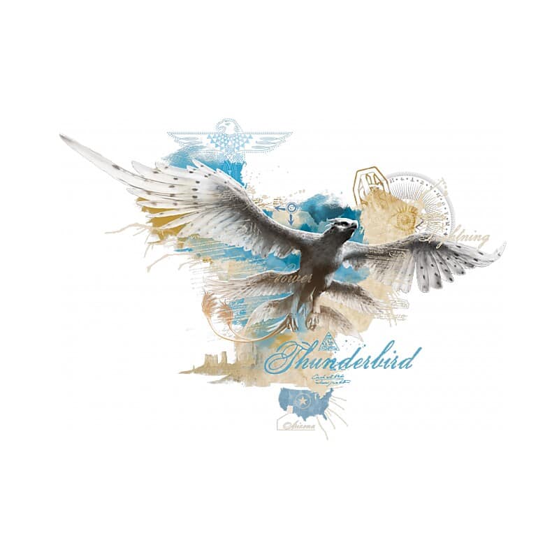 Thunderbrid splash