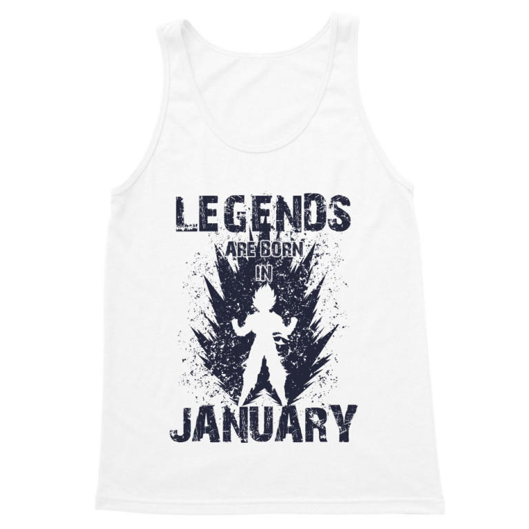 DragonBall Legends January