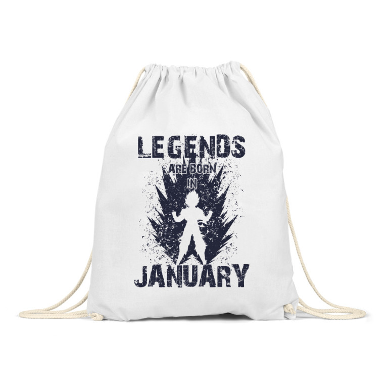 DragonBall Legends January