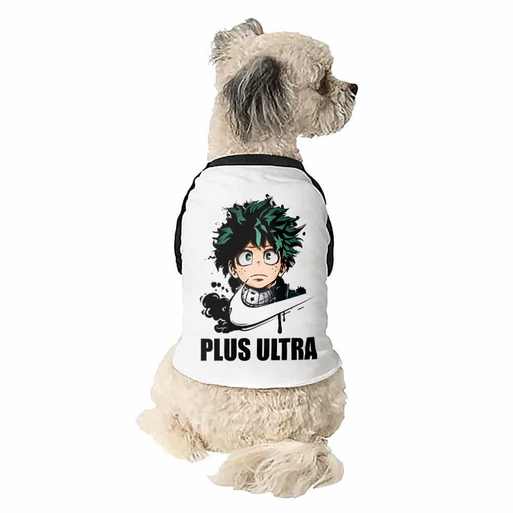 Midoriya Izuki Kutyapóló